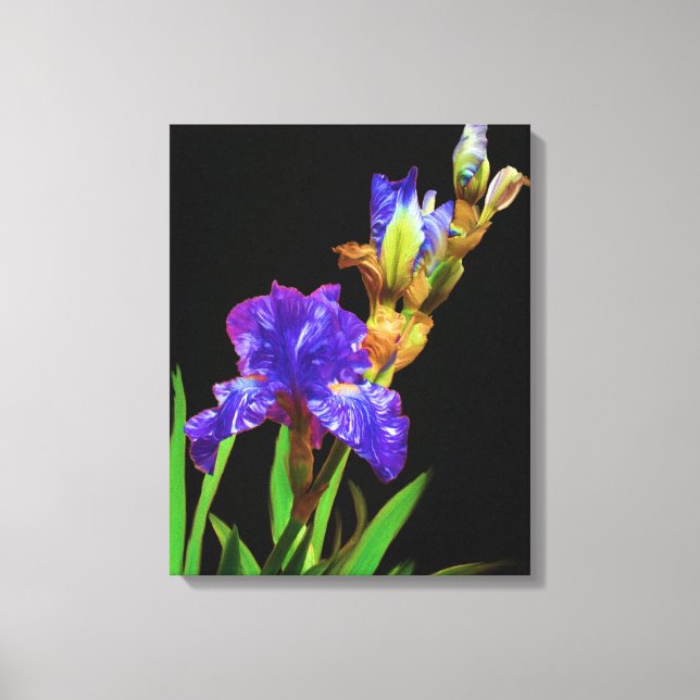 Iris on blacksmooth canvas print (Front)