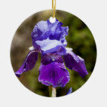 Iris Ornament at Zazzle