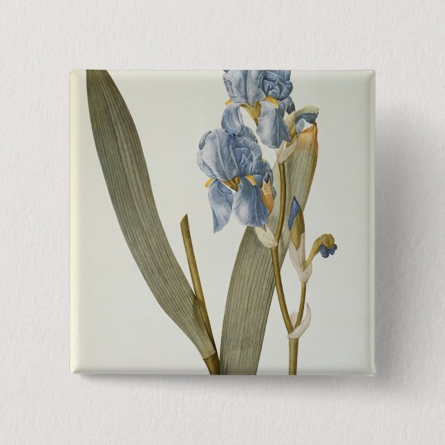 Iris Pallida, from `Les Liliacees', 1812 Pinback Button (Front)