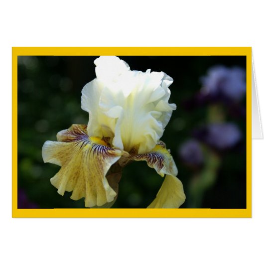 Iris Perfection Cards (Front Horizontal)