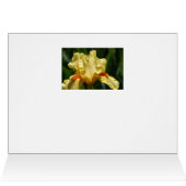 Iris Perfection Cards (Inside Horizontal (Top))