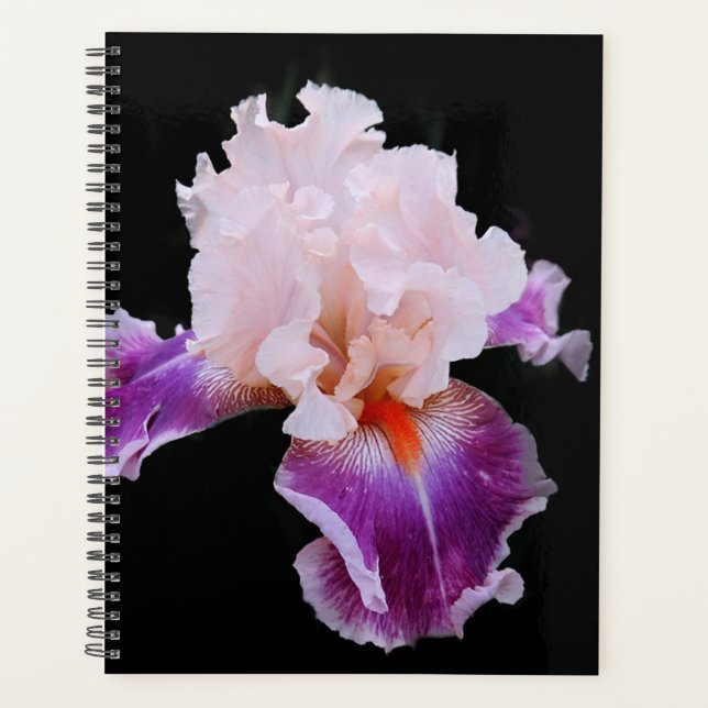 Iris Planner (Front)