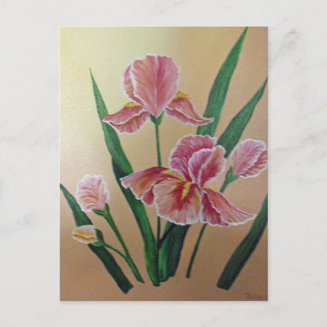Iris Postcard (Front)