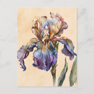 Iris Postcard