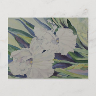Iris Postcard