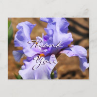 Iris Postcard- customize for any occasion