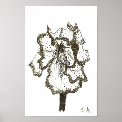 Iris Print