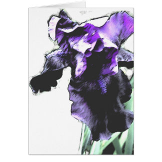 Iris, purple cards