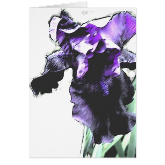 Iris, purple cards (Front)