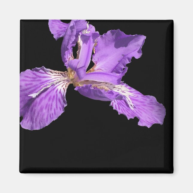 Iris Purple Magnet (Front)