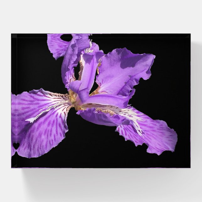 Iris Purple Paperweight (Front)