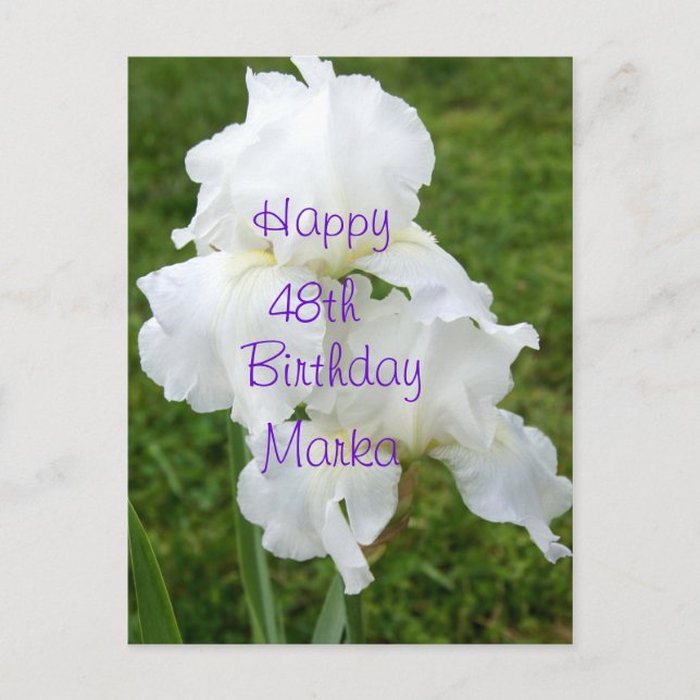 Iris Rebloomer Flower Birthday card- customize Postcard (Front)