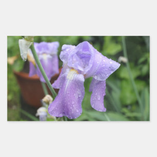 Iris. Rectangular Sticker