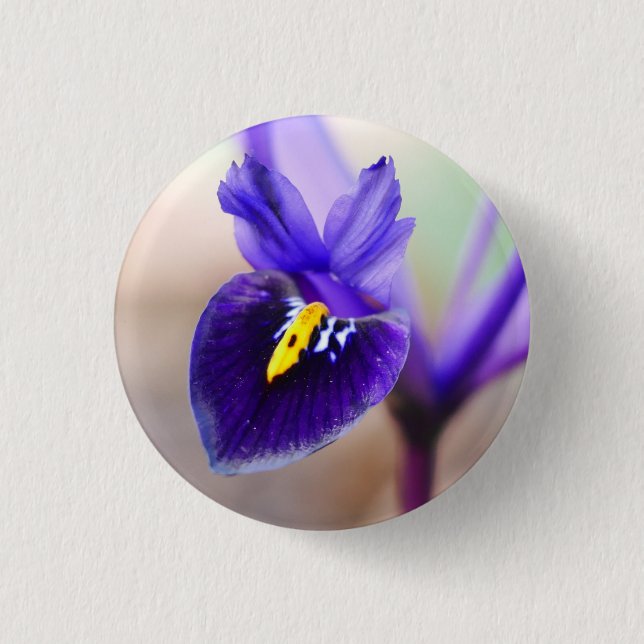 Iris Reticulata Flower Badge Button (Front)