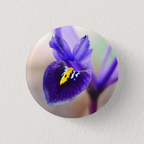 Iris Reticulata Flower Badge Button