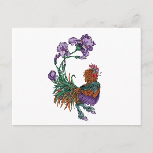 Iris Rooster Postcard