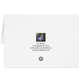 Iris, S Cyr Cards (Back Horizontal)