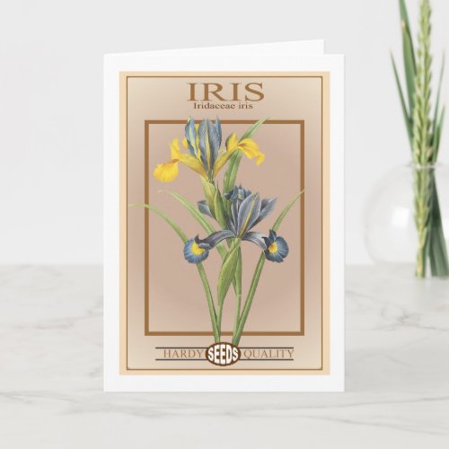 iris seed packet