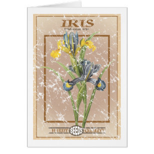 Iris seed packet - distressed