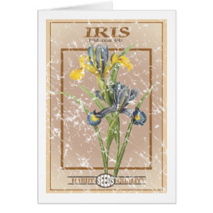 Iris seed packet - distressed cards
