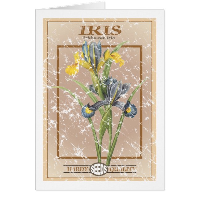 Iris seed packet - distressed cards (Front)