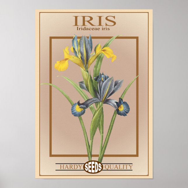 iris seed packet poster (Front)