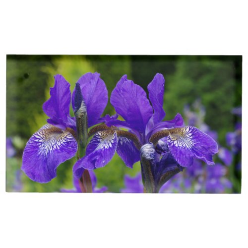 Iris sibirica floral photography  place card holder