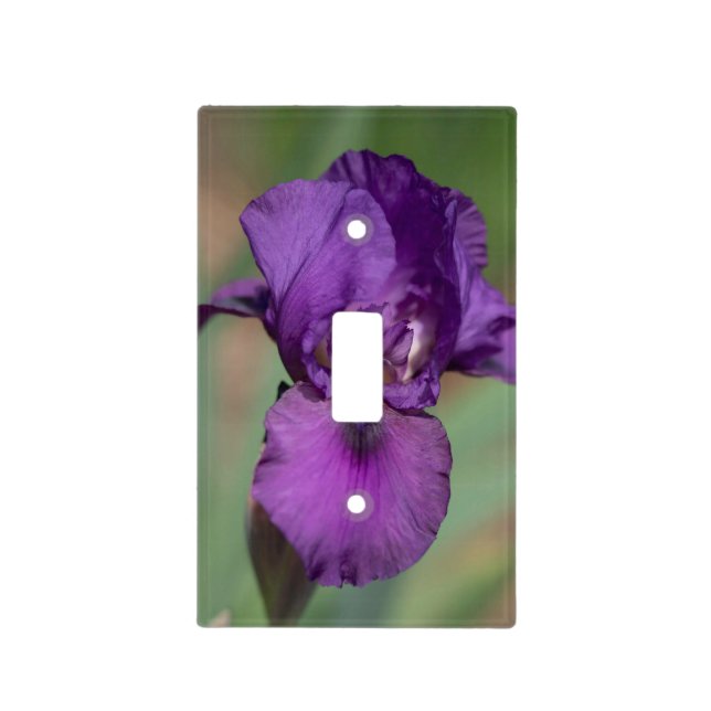 Iris Switch Plate Cover (Front)