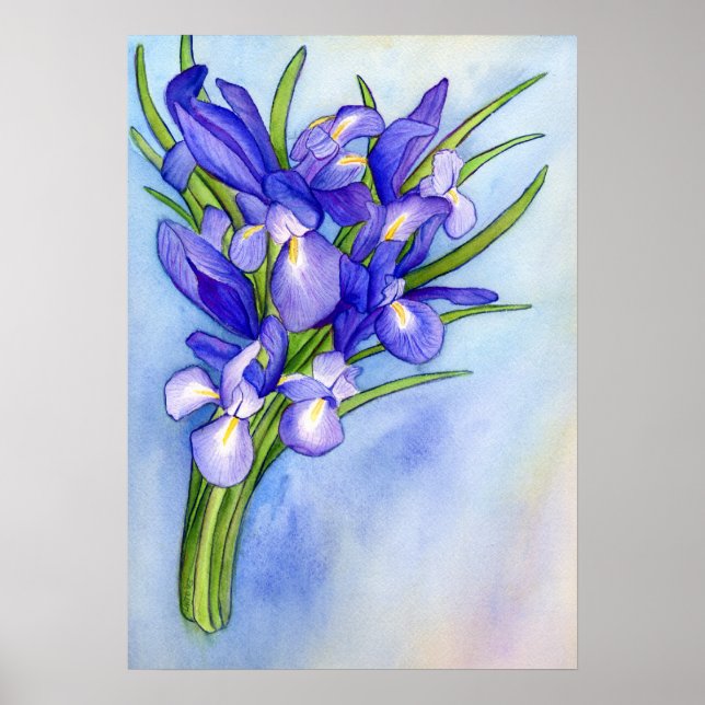 Iris Vase Watercolor Painting Art Poster Print (Front)