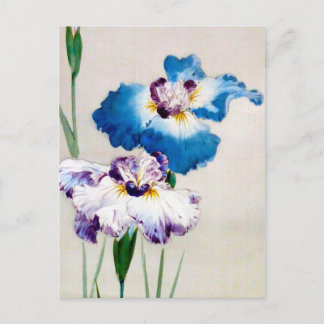 Iris, Watanabe Seitei Postcard