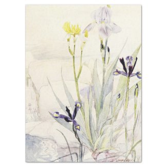 Iris Watercolor Antique Flower Art Tissue Paper