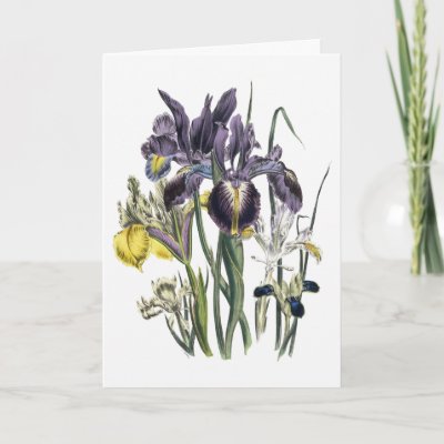 Iris Watercolor Sympathy Card