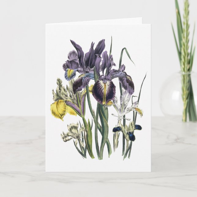 Iris Watercolor Thank You Card (Front)