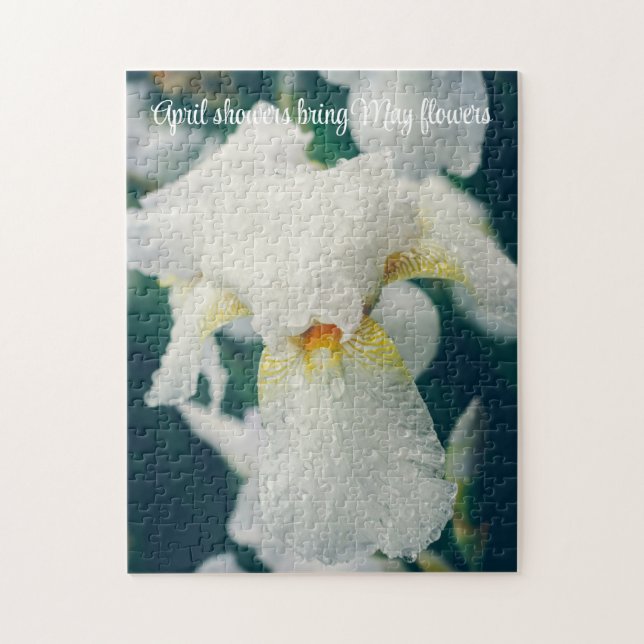Iris with water droplets jigsaw puzzle (Vertical)