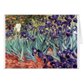 Irises (Front Horizontal)
