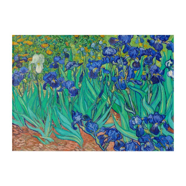 Irises, 1889 by Vincent van Gogh Acrylic Print (Front)