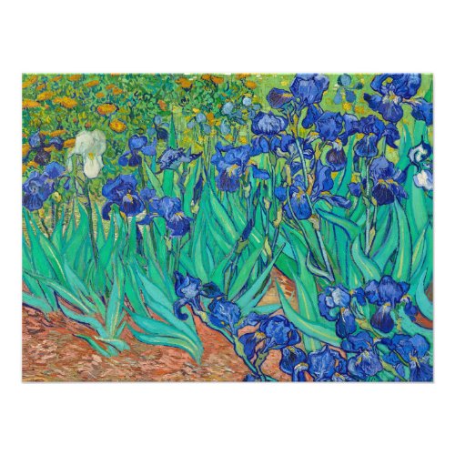 Irises 1889 by Vincent van Gogh Photo Print