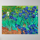 van Gogh - Irises (1889) Poster