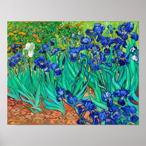 Irises 1889 Vincent Van Gogh blue floral garden  Poster