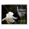 Irises 2016 Calendar