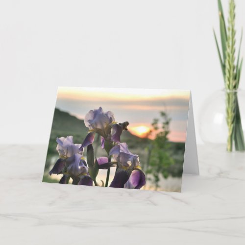 Irises and sunset blank greeting card