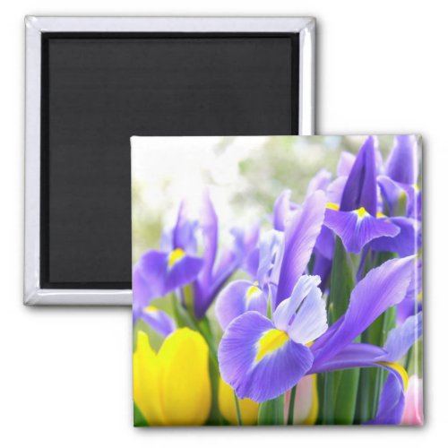 Irises And Tulips Spring Flowers Magnet