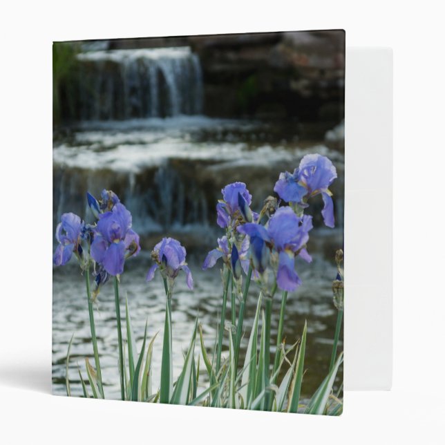 Irises At Chateau 3 Ring Binder (Front/Inside)