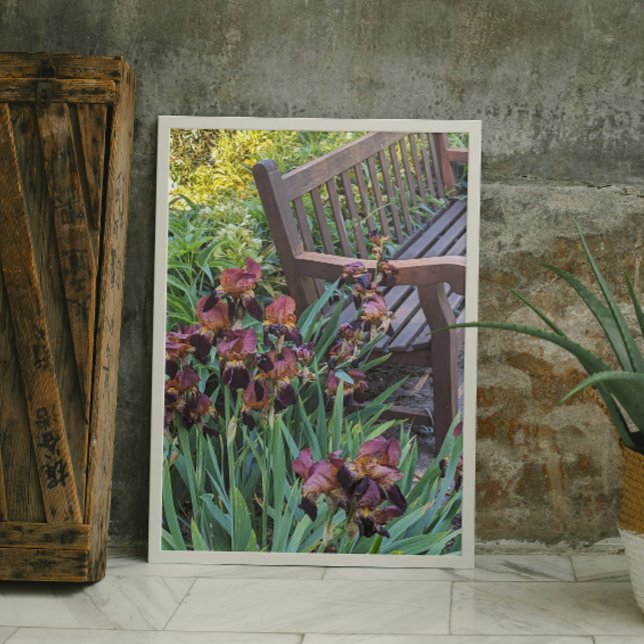 Irises Blooms and Garden Park Bench Floral Photo Print (In Situ)