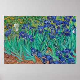 Irises by Van Gogh Art Painting Poster