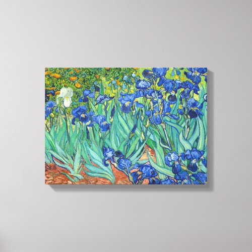 Irises by Van Gogh Canvas Print