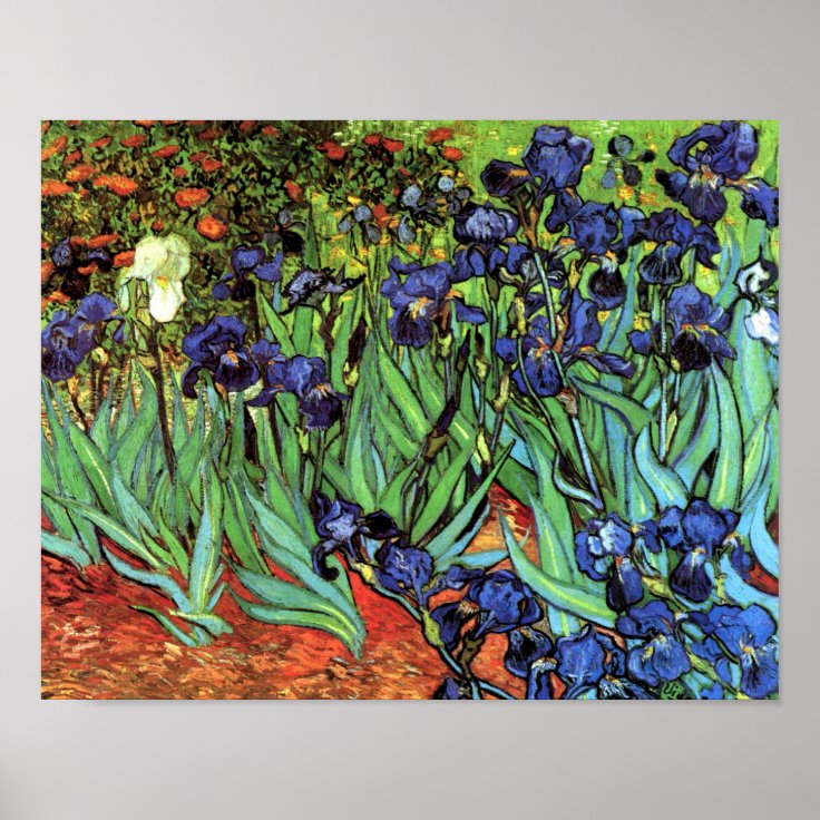 Irises By Van Gogh Fine Art Poster Print 