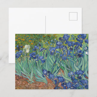 Irises by Van Gogh Postcard