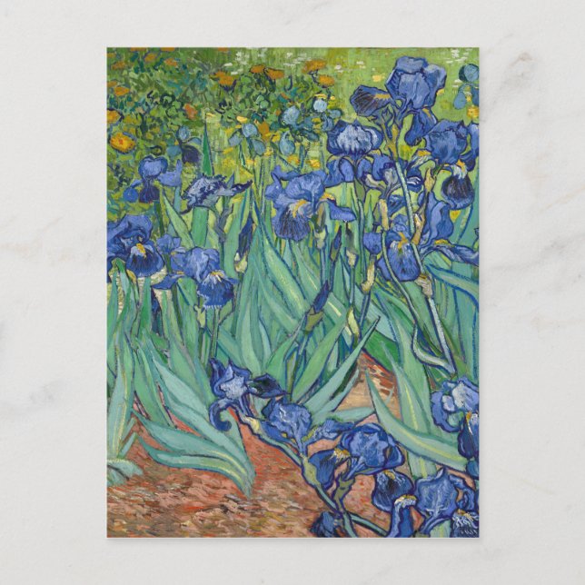 Irises by Van Gogh Postcard (Front)
