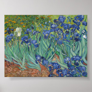 Irises by Van Gogh Poster